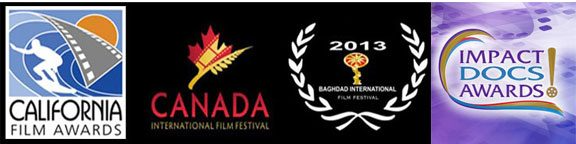 inso-in-festivals